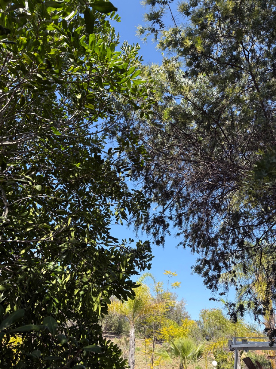 Rural landscape in Nuevo with Lakeview Mountains