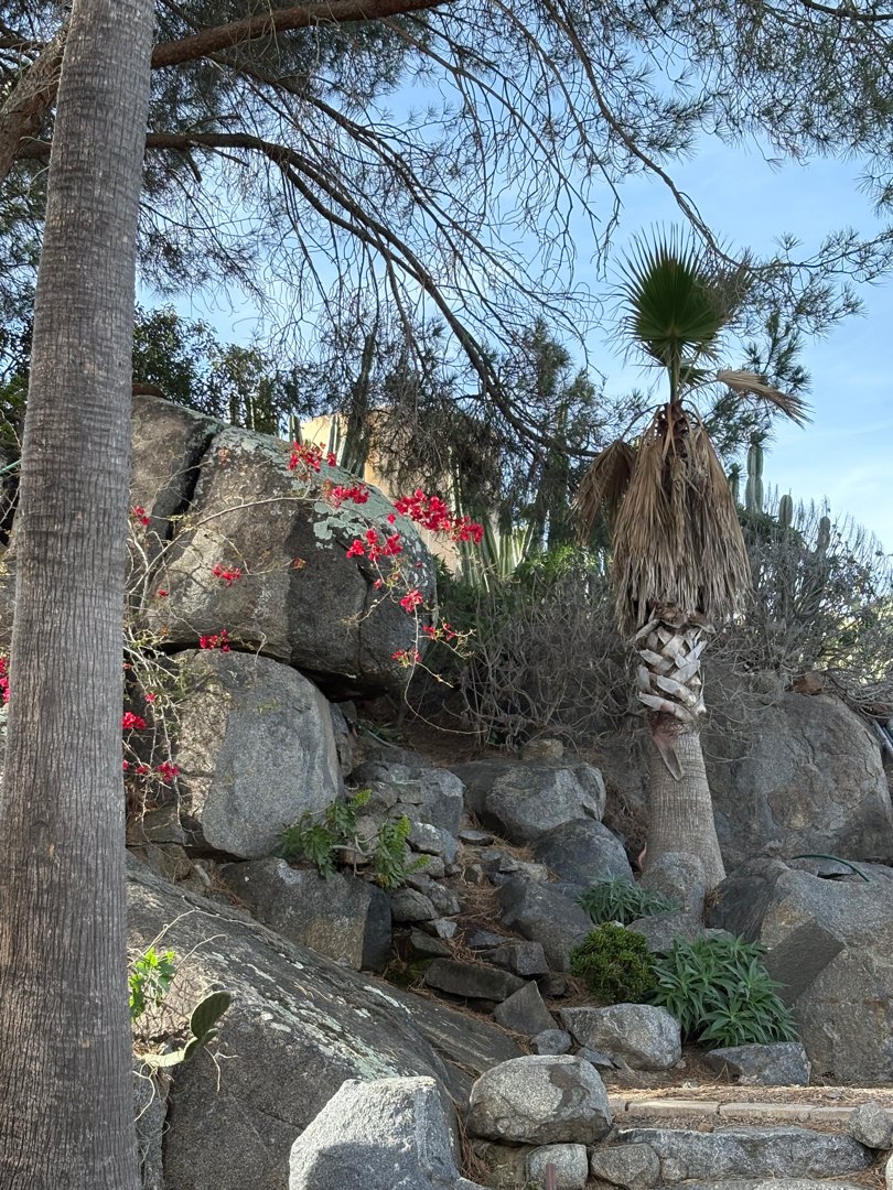 Well service in Escondido