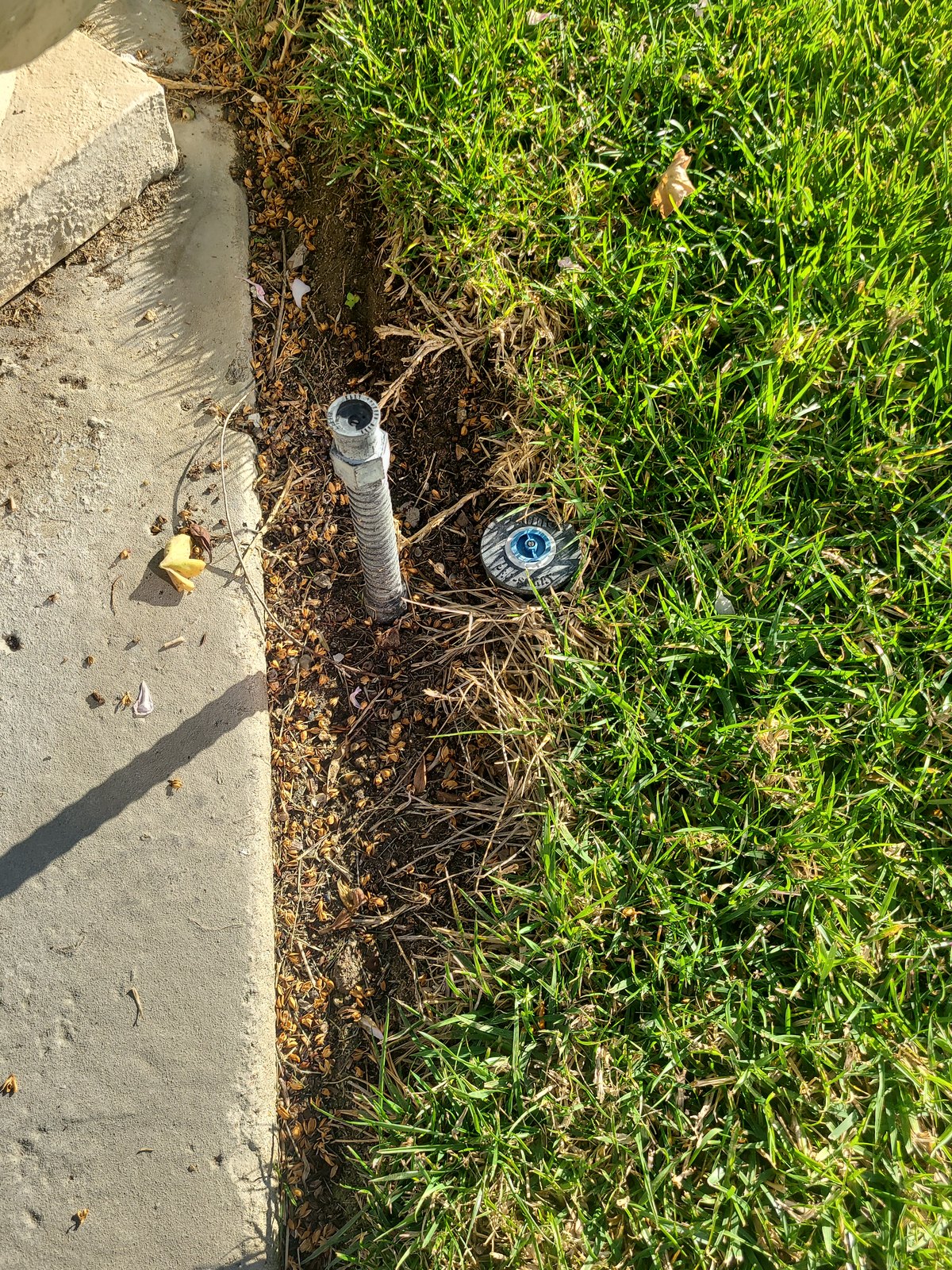 Well service in Poway