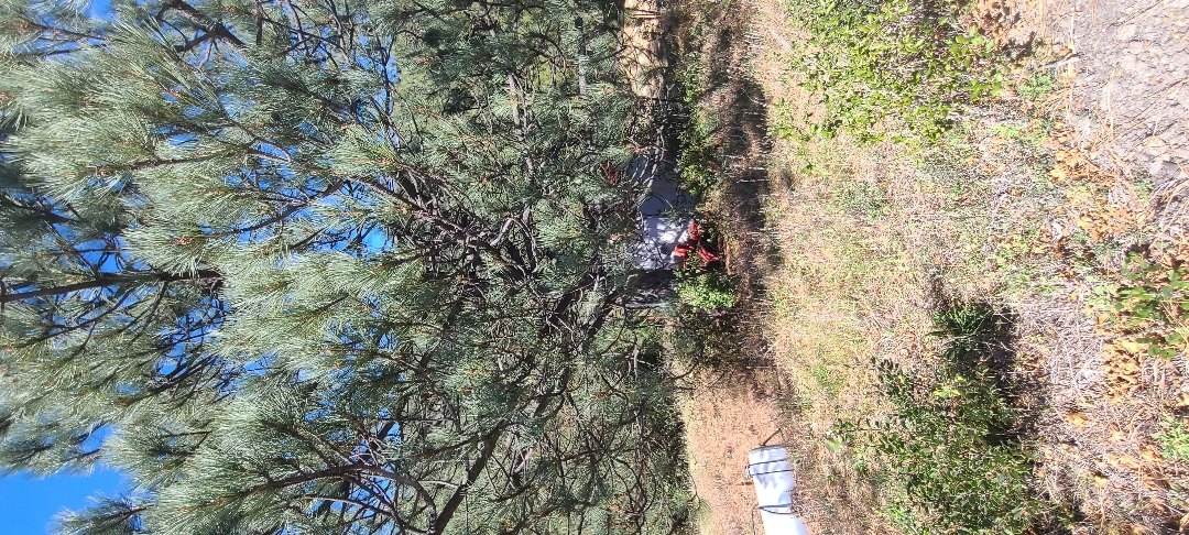 Well service in Palomar Mountain