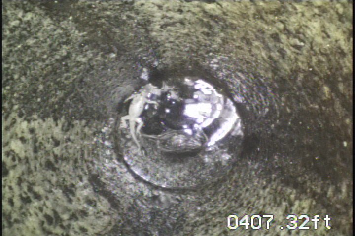 Pump replacement in Ramona