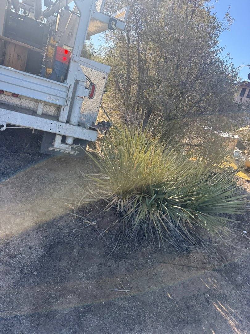 Well service in Mountain Center
