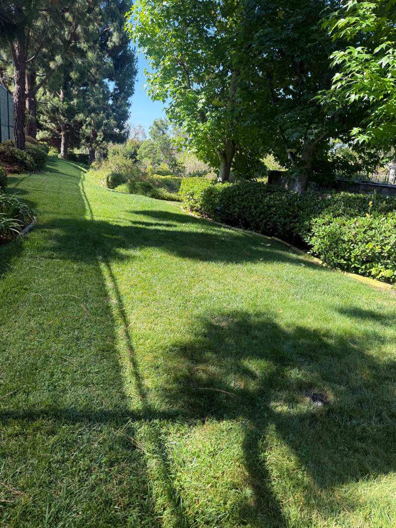 Pull pump in Rancho Santa Fe