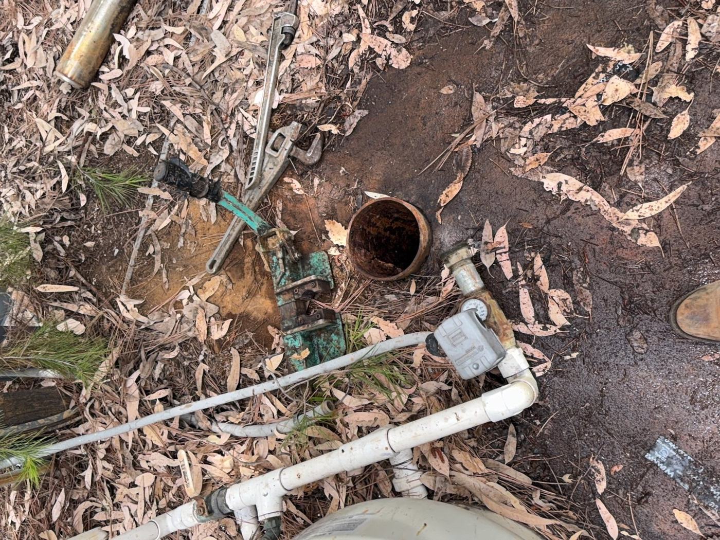 Pull and replace pump and motor detail in Jamul