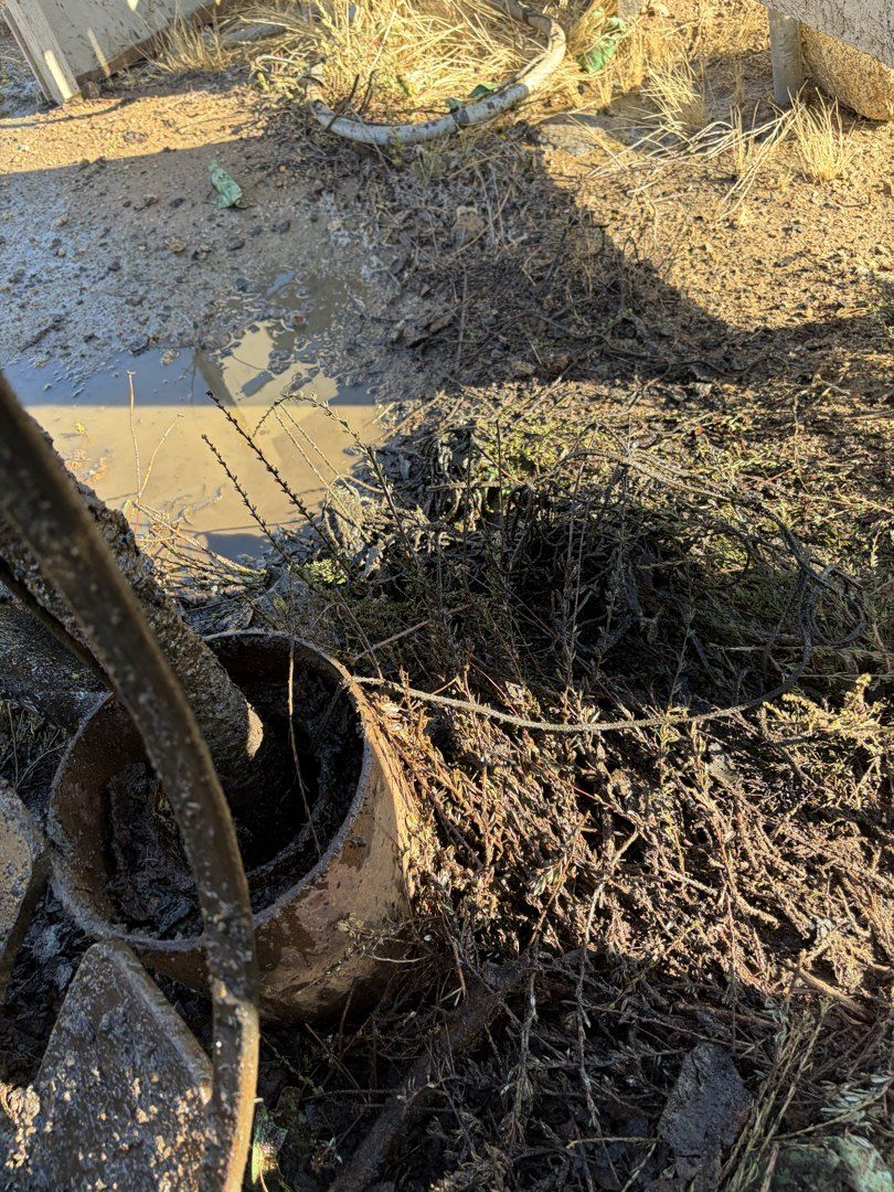 Pull and inspect pump detail in Anza